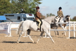 SBM_12295