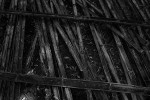 Bamboo (Taj Usha Kiran Palace, Gwalior)