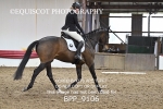 BPP_9106