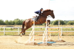 SBM_010981