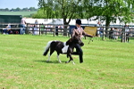 SBM_03501