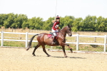 SBM_002369