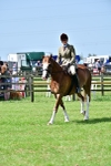 SBM_03847