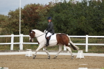 SBM_000996