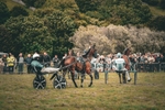 DSCF7149