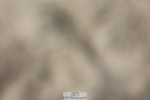 250718A-163014-02858