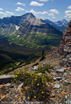 Mount Phillips