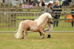 SBM_03499