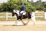 SBM_003743