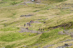 Borrowdale-899