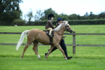 SBM_42435