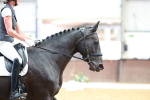 SBM_020654