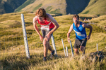 Steel Fell-123