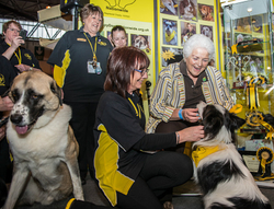 Crufts 2017 portfolio