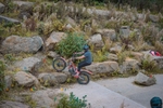 DSCF0762