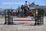 BPP_8164