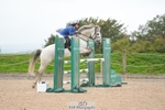 Cls 10 Pony Foxhunter and 1.10m portfolio