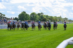 310526-Race 3-Al Hussar-8580