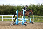Class 8 - Clear Round portfolio