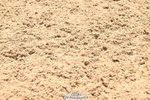 240608A-145312-02837