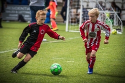 Grass Roots portfolio