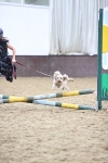 SBM_001631