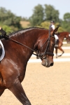 SBM_006406