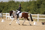 SBM_015106
