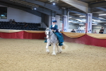 SBM_14061