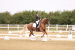 SBM_011535
