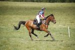 BVHT 140517  IXC -217