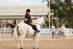 SBM_15562