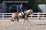 BPP_9078
