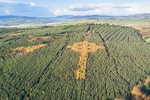 DJI_0074