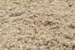 230611A-130923-05783