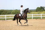 SBM_003954