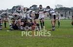 Rugby_Guernsey v Sutton  Epsom-2