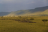 Masai Mara