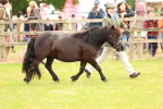 SBM_04338