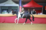 SBM_09762