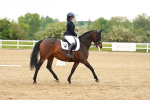 SBM_006010