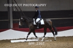 BPP_2397