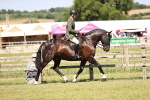 SBM_18574