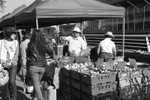 Farmers' Market 4