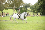 SBM_42296