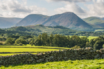 Loweswater Show-9