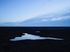 Saltmarsh  Blue
