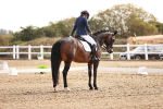 SBM_016951