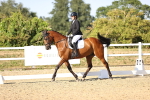 SBM_007621
