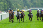 080925-Race 4-Zain Blue-9025